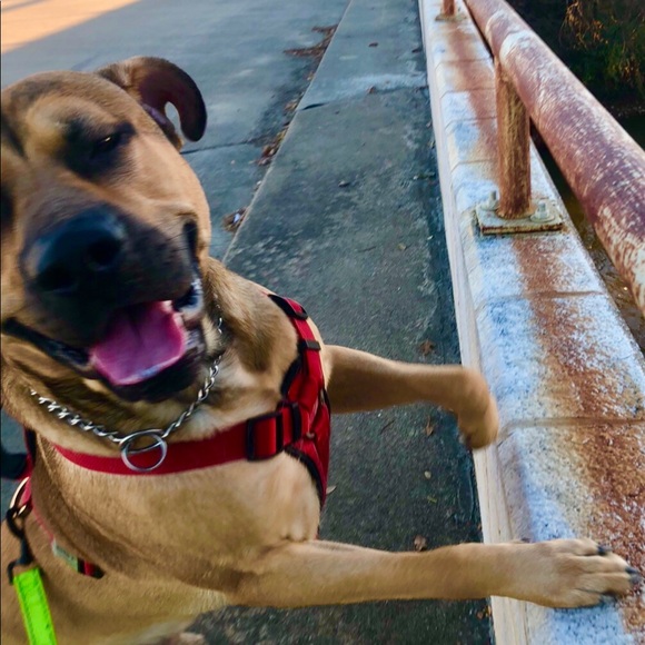 Meet your Posher, Laura - Picture 2 of 2